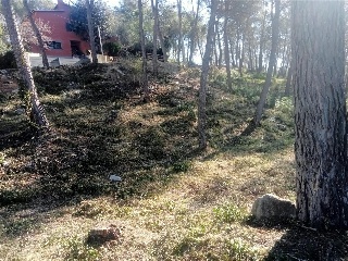 Pisos banco Olivella