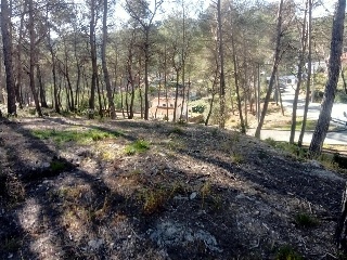 Albada De L' 2