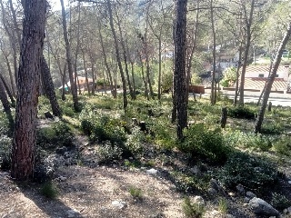 Albada De L' 2