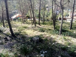 Albada De L' 2
