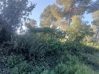 Constel·Lacio De La 3