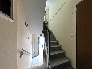 Armas 8