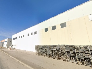 Labradores 3