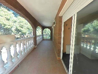 Selva La 4