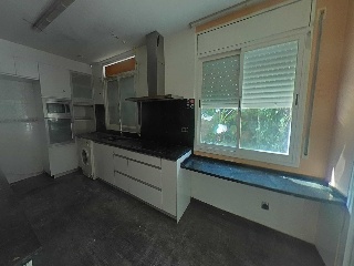 Selva La 10