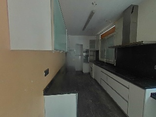 Selva La 11