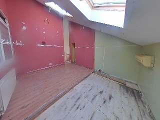 Selva La 20