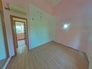 Selva La 29