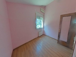 Selva La 31