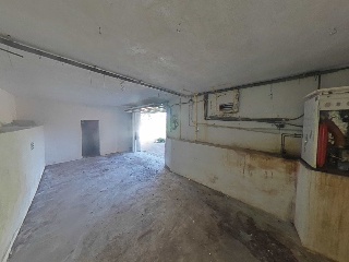 Selva La 50