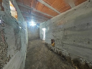 Selva La 54