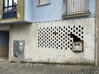 Piñeiral 4