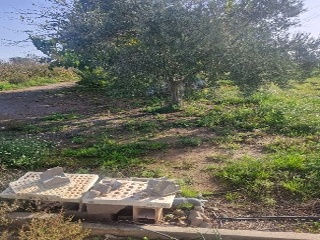 Otros en venta en Moncofa