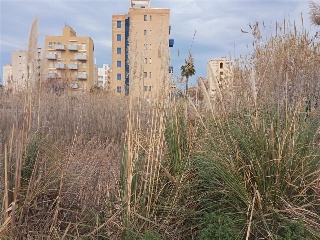 MUNTANYAR 7