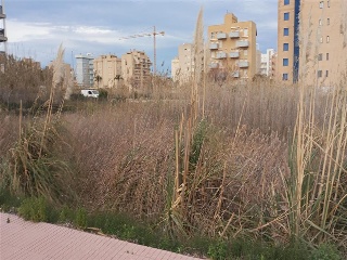 MUNTANYAR 8