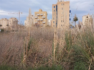 MUNTANYAR 14