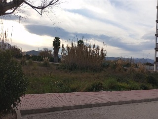 MUNTANYAR 19