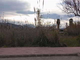 MUNTANYAR 20