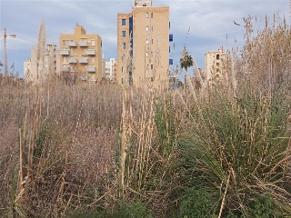 MUNTANYAR 31