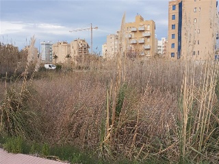 MUNTANYAR 32