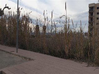 MUNTANYAR 39