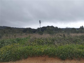 Pisos banco Palafrugell