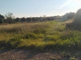 GARROFERS DELS 4
