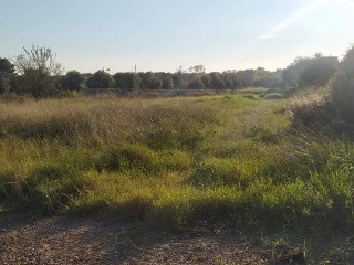 GARROFERS DELS 5