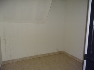 GRACIANO 7
