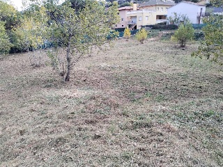 CAN BOSCH 3