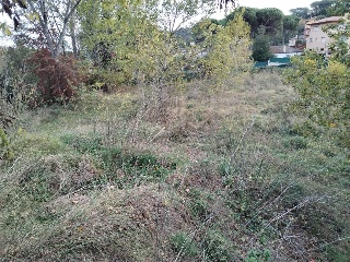 CAN BOSCH 7