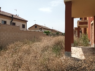 FUENTE DEL CURA 10
