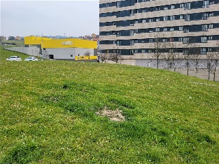 ROBLE -PARCELA H PP.CENT. SAPU I 4