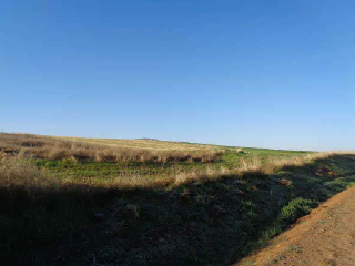 PARAJE LOS FRAILES 5