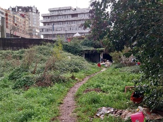 CORUÑA 7
