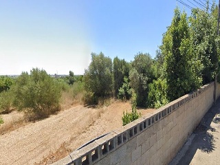 Calle Oliveres. Barrio San Ramón (pol.36 parcela 18) 2