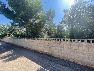 Calle Oliveres. Barrio San Ramón (pol.36 parcela 18) 5