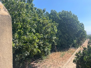 Calle Oliveres. Barrio San Ramón (pol.36 parcela 18) 9