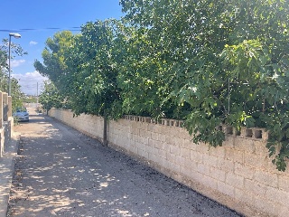 Calle Oliveres. Barrio San Ramón (pol.36 parcela 18) 11