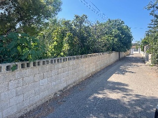 Calle Oliveres. Barrio San Ramón (pol.36 parcela 18) 12