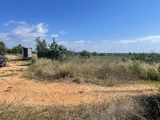 Calle Oliveres. Barrio San Ramón (pol.36 parcela 18) 13