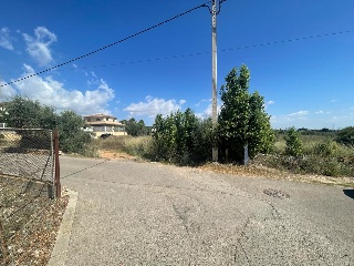 Calle Oliveres. Barrio San Ramón (pol.36 parcela 18) 14