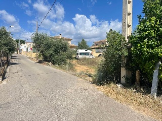 Calle Oliveres. Barrio San Ramón (pol.36 parcela 18) 15