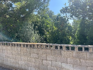 Calle Oliveres. Barrio San Ramón (pol.36 parcela 18) 16