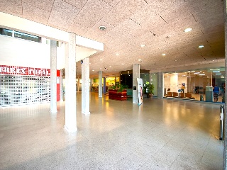 CENTRO COMERCIAL MONTE BALADO 7