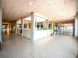 CENTRO COMERCIAL MONTE BALADO 8