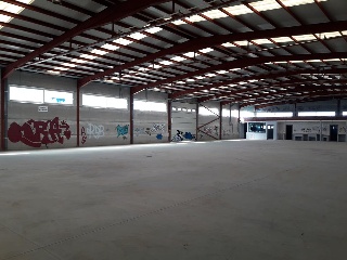 Nave en Partida Pedrera                                                      4