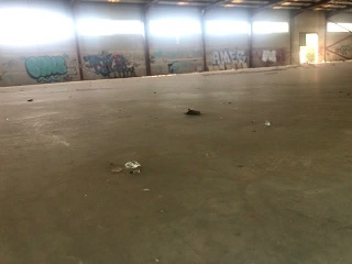 Nave en Partida Pedrera                                                      16