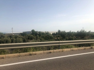 Nave en Partida Pedrera                                                      18