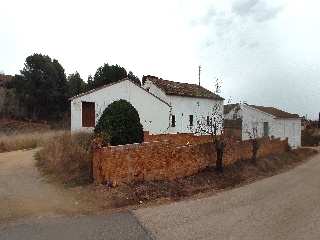 Mas Mosca 20
